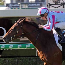 Dubious seen winning the Group 2 Champagne Classic at Doomben on May 11


Photos: Graham Potter
