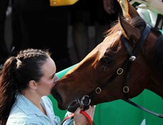 A kiss for The Bostonian after his latest Group 1 victory at Doomben on Saturday