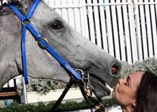 Of course, The Candy Man also received a loving kiss from his strapper after his success


Photos: Graham Potter