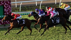 … before Baccarat Baby goes close to defying all odds by snapping at the heels of Military Zone all of the way up the home straight

Photos: Graham Potter and Darren Winningham
