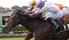 Frangipani Moon winning at Doomben on August 14 (above and below)