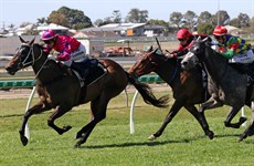… after Flaming Boss romped home at Doomben on September 18
