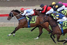 The Big House wins at Dalby on September 26 to keep the stable scoreboard rolling