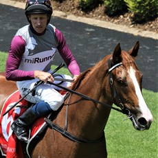 Dusty Tycoon and Dale Smith (see race 1)
