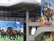 The outstanding mural which adorns the side of the grandstand at the Sunshine Coast depicting Winx's extraordinary win in the 2015 Sunshine Coast Guineas