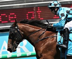 Farnan … his track gallop between races at Aquis Park Gold Coast on Saturday was dynamic.

He never deviated from the inside rail and his last 400 metres of 20.86 and his last 200 metres of 10.65 were figures rarely bettered.

But the striking part of the gallop was the hold Brenton Avdulla had on him as they headed to the post.

Photos: Graham Potter