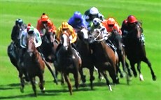 A photo sequence doesn't to justice to the speed at which events unfolded 'live' in the most controversial racing incident from last weekend but here you can see Glen Boss (in the blue silks) trying to force his way out and the effect it has on the horse to his immediate outside