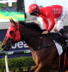 Redzel, who amongst other famous victories, went on to give Jim Byrne a win in the Doomben 10 000 (above and below) which led to a great celebration moment with Jim Byrne and his son Corey (see last photo below) only finished second in the Victory Stakes