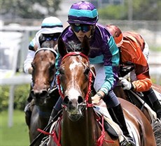 That was an impressive win in Hong Kong of Winning Dreamer (above), a Karaka purchase out of a Haunui Stud draft and a winner at two trials in NZ for Alex Oliveira before heading to HK. Winning Dreamer is the fourth winner from the broodmare Markisa who is from that great Eight Carat family and related to Shower of Roses and Marquise.