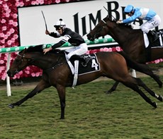 Victorem ... my pick to  win the Stradbroke (above, seen flying home to a great victory on Stradbroke Day last year in the Group 3 Hinkler). Can he go home with the big prize this time around>