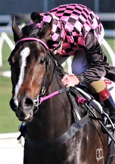 Rothfire and Jimmy Byrne (above and below)