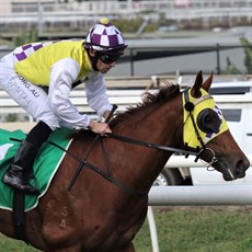 Some roughies got home at Eagle Farm. What a win for Tracey Bartley and In Good Time (pictureed above) at odds of 70-1 in the Ascot Handicap and for Love You Lucy (below) in the last of the day at odds of 41-1 for 79-year-old trainer Barry Squair as the mare added to her success in the Silk Stocking at the Gold Coast recently.