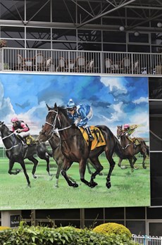 The nighty Winx had already been honoured at the Sunshine Coast with murals dipicting her Guineas win at the track adorning the outside walls of the member's grandstand (see above and below). On Saturday, a raced named in honour of the mighty mare will be one of the feature races on the day