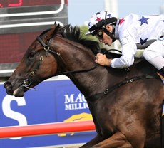 Sunlight pictured winning the Magic Millions Two-Year-Old Classic