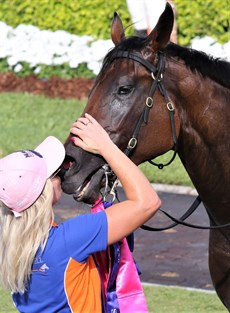 Sunlight, pictured with strapper Sarah Rutten (above and below), a show stopper at $4.2 million, sold to Coolmore