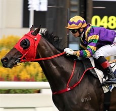 Perfect Match wins the opening day feature in Hong Kong