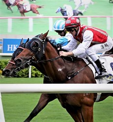 Hayes won the second race at Sha Tin with Moneymore and then took home a first-day double thanks to a driving finish from Hong Kong’s champion jockey Zac Purton on Metro Warrior in the Class 3 Lantau Peak Handicap (1000m).

Photos: Courtesy Hong Kong Jockey Club