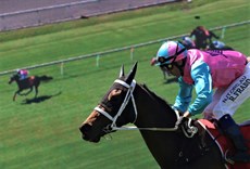 Robbie Fradd runs away with the first race at the Sunshine Coast on Sunday aboard the Rob Davidson trained Who Said So