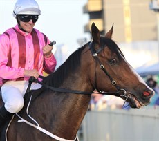 Wolfgram brings Beaufort Park back to scale after his recent win at Doomben ...