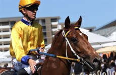 Golden Eighty returns to scale. Ben Thompson is in the saddle in both photos above and below