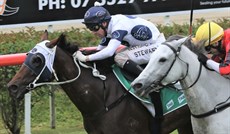 Stewart also scored on Hollywood Dreaming at Murwillumbah on Frday. Hollywood Dreaming starting price was $14

Photo: Graham Potter