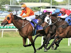 Niccanova (red cap) goes down narrowly to the mighty The Harrovian. The warning has been posted!

Photos: Darren Winningham</b.