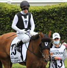 Ryan Maloney and Isotope in the pre-race parade at the Gold Coast last Saturday