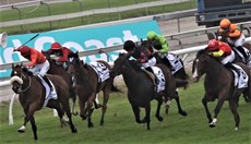 Isotope, now riderless (third from left) completes the course with the rest of the field as the race winner Aim (on right) unleashes his race winning finishing burst

Photos: Graham Potter