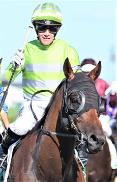 Dissolution and Mark Du Plessis (top and bottom)