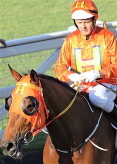 ... and he and Brad Stewart will enjoy a groundswell of support from his home state when he tackles the All-Star Mile

Photos: Graham Potter and Darren Winningham