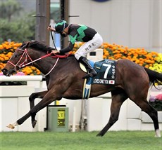 ... winning on Loves Only You in the 2021 G1 FWD QEII Cup.

Photos: Courtesy Hong Kong Jockey Club