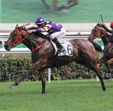 Gallant Express wins on debut.

Photos: Courtesy Hong Kong Jockey Club