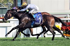 Vincent Ho is looking to guide Golden Sixty to a fourth consecutive G1 triumph.