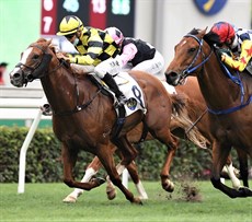 Stronger (left) finishes second to Amazing Star (right) in the G2 Sprint Cup.

Photos: Courtesy Hong Kong Jockey Club