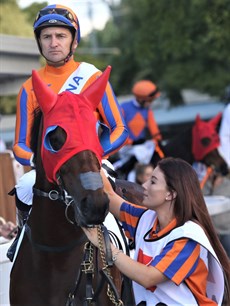 Melody Belle steps out for the last time in Saturday's Group 1 Doomben Cup

Photos: Graham Potter