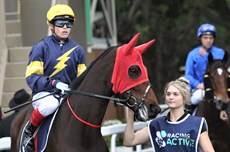 The Ocean Park mare Tofane may not have won as easily as Inventivise but she still had her rivals well covered in the final stages of the Tatts Tiara with rider Craig Williams saying the win for the Mike Moroney trained mare was 