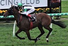 The rising three-year-old colt from NZ, Tutukaka, gained a solid $72,000 first prize yesterday at Eagle Farm with an easy win over four rivals over 1800 metres. The half-brother to Melody Belle, by Tavistock, is now to spell and then trainer Tony Pike, who was at the Tauranga races yesterday instead of Eagle Farm, said he would be aimed at the VRC Derby. 
