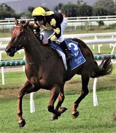 Orbisyn (above and below) doing what he does best ... winning