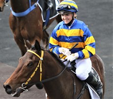 Maddy Wishart bring teh Donald Baker trained Legal Esprit back to scale after his win at Eagle farm on August 14