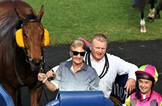 King Klaus pictured in the winner's enclosure after a previous win at the Sunshine Coast. Will he be back there on Sunday?