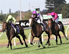 Keefy (left) and Whitewater (right) pictured with the winner Bulloo in the closing stages of the Garden City Guineas