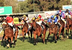 Tycoon Ace (blue cap) ... right in the thick of things in The Weetwood finish

Photos: Graham Potter