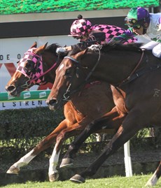 Startantes gets the better of Alpine Edge at Doomben earlier in her career. She will now line up in the $2 million The Invitation at Randwick on October 23

Photo: Graham Potter