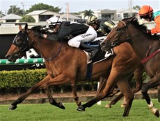Paleontologist winning at Doomben on January 16, 2020 to make it two wins from two starts ...