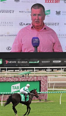 Kisukano returns to scale (above and below) after claiming her fifth career victory at Eagle Farm on August 15, 2020 ...