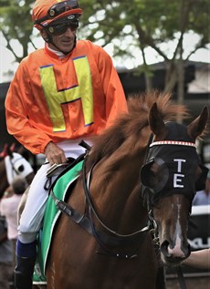 Fradd and the Toby and Trent Edmonds trained Tyzone, his Stradbroke winner

Photos: Graham Potter