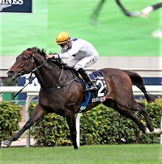 Golden Sixty ... the Hong Kong Champion will be looking to extend his already maginificent winning sequence 