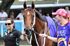 The stable star