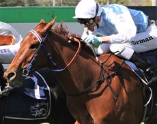 Jimmy Orman and Mishani Warfare ... seen running second on debut in the Pat O'Shea