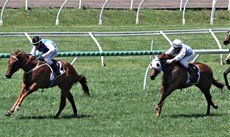 Mishani Warfare has two wins to his name. He beat fellow Magic Millions Two-Year-Old Classic contenders Mishani Persuasion at Eagle Farm (above) and Perfect Mission at the Sunshine Coast (below)